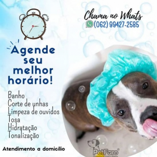 PET E FARO CLINICA VETERINÁRIA Goiânia GO