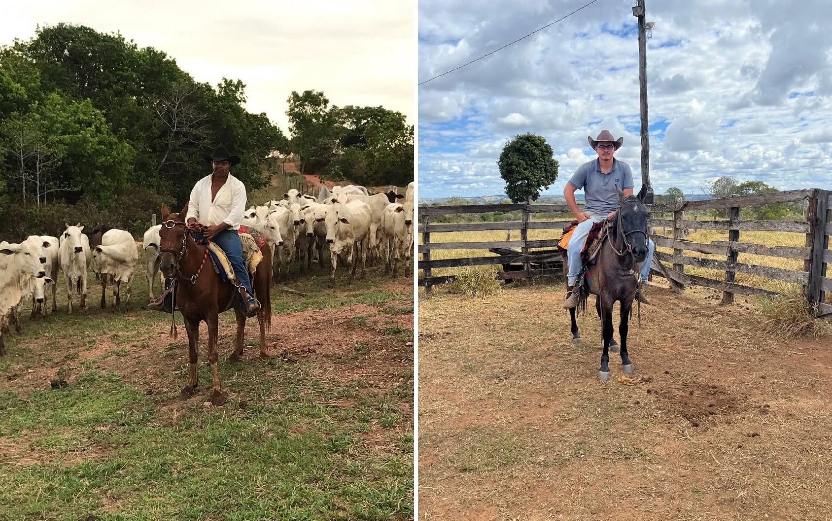 foto Not&iacute;cia Goiânia