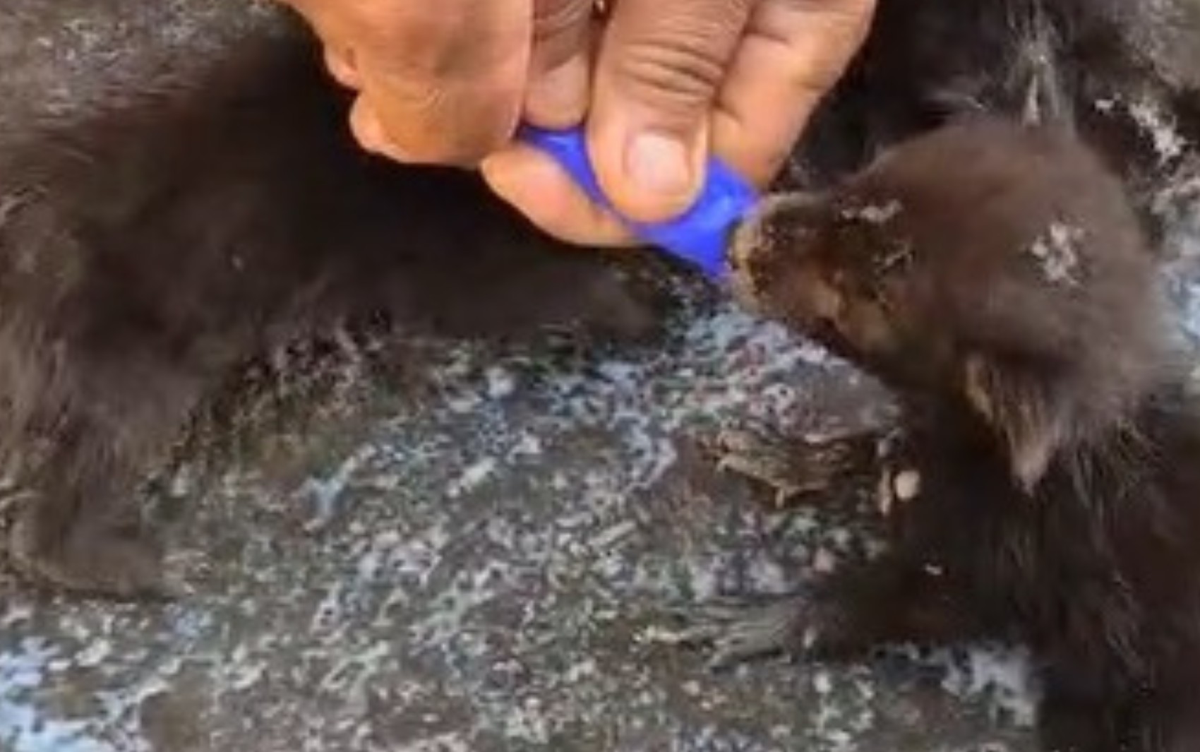 foto Not&iacute;cia Goiânia