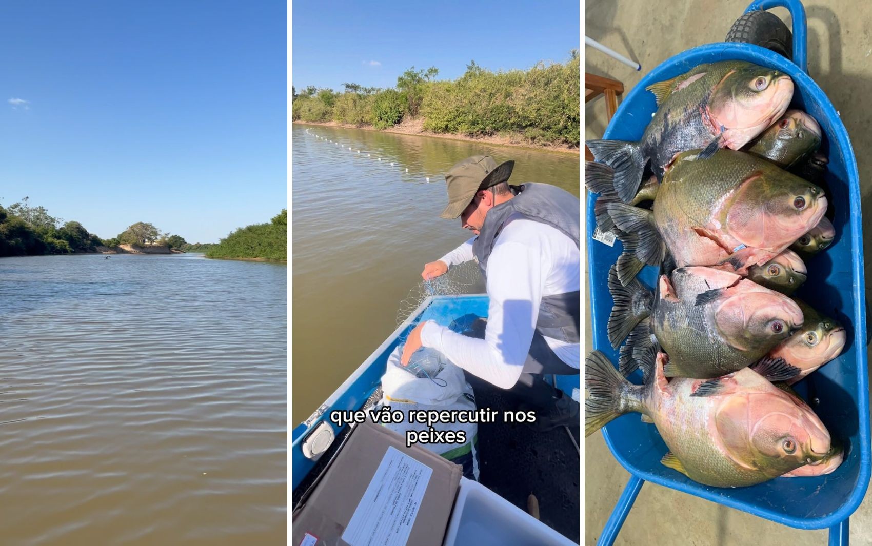 foto Not&iacute;cia Goiânia